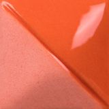 UG217 Red Coral Fundamentals Pint