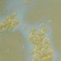 161 Crystal Celadon Pint
