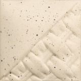 EG002 Speckled Buff Engobe Pint