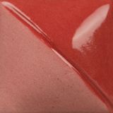 UG208 Dragon Red Fundamentals Pint