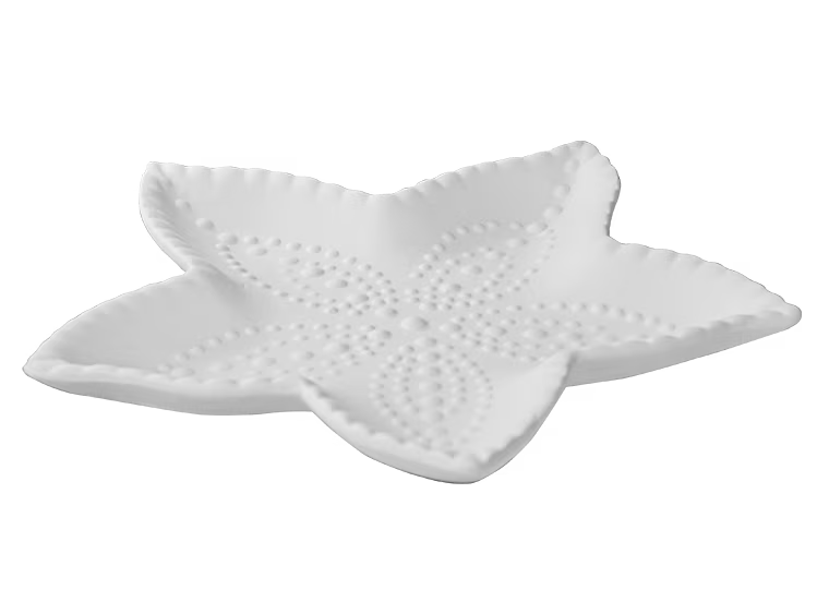 Bisque BI2295 Starfish Dish
