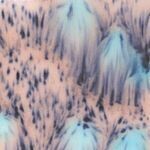 S2702 Northern Lights  4oz.