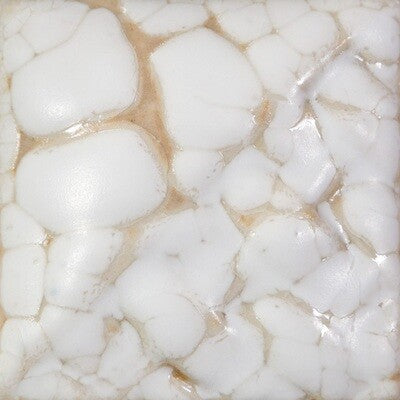 SW403 White Mudcrack Pint