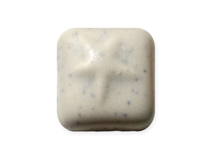 MS50 Dutch Sprinkle Pint