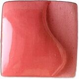 SP570 Hot Pink Pint