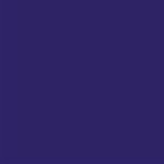 6363 Sky Blue Mason Stain  1#