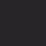 6600 Black Mason Stain  1#