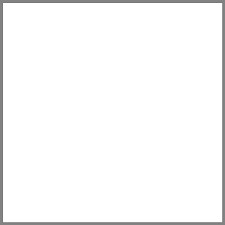 6700 White Mason Stain 1/2#