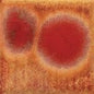 CG972 Dragon's Breath Pint
