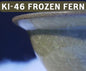 KI46 Frozen Fern Pint