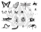 Silk Screen Bugs