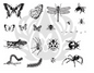 Silk Screen Bugs