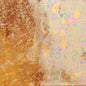 C07 Solar Flare Cosmos Pint