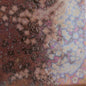 C014 Solar Rainbow Cosmos Pint