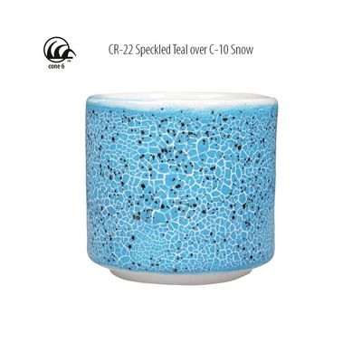 CR22 Speckled Teal Crawl Pint