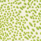CR41 Lime Crawl Pint
