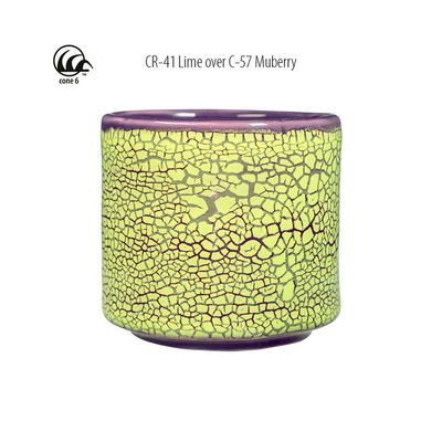 CR41 Lime Crawl Pint