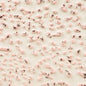CR51 Speckled Pink Crawl Pint