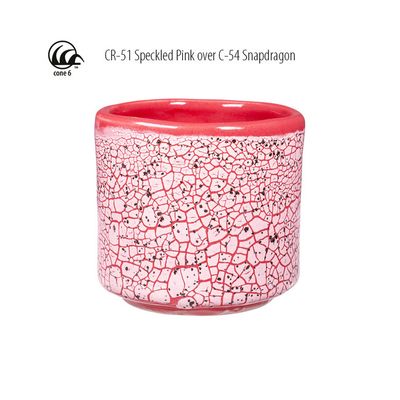 CR51 Speckled Pink Crawl Pint