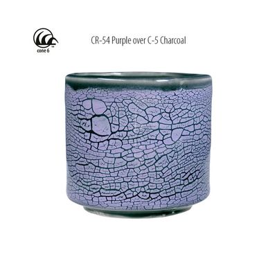 CR54 Purple Crawl Pint