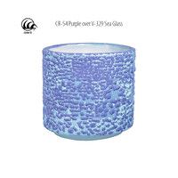 CR54 Purple Crawl Pint