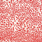 CR58 Red Crawl Pint