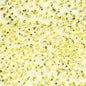 CR61 Speckled Yellow Crawl Pint