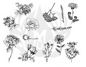 Silk Screen Flower