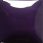FN017 Purple Gallon