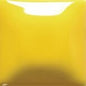 FN002 Yellow Gallon
