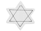 Bisque BI6427L Hand Detailed Star Of David Party Ornament