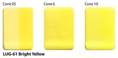 LUG61 Bright Yellow Pint