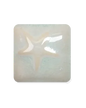 MS224 Mint Spice Pint