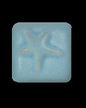 MS255 Aqua Blue Pint