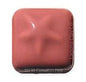 MS91 Carnation Pink Pint
