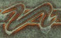 PC33 Iron Lustre Pint