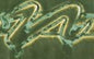 PC41 Vert Lustre Pint