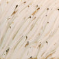 PCF74 River Birch Pint