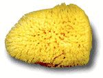 Sponge Silk 3"