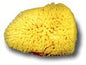 Sponge Silk 3"