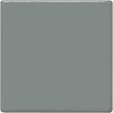 TP15 Gray Pint