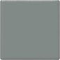 TP15 Gray Pint