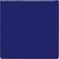 TP21 Midnight Blue Pint