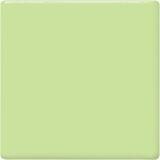 TP40 Mint Green Pint