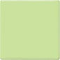 TP40 Mint Green Pint