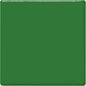 TP41 Frog Green Pint