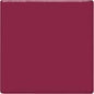TP52 Raspberry Pint