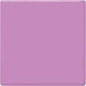 TP54 Lilac Pint