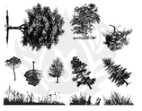 Silk Screen Tree and Grass