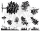 Silk Screen Tree and Grass